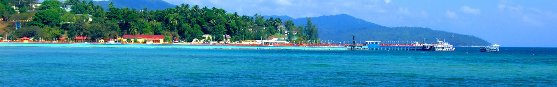 Dhani Nallah Mangrove Walkway