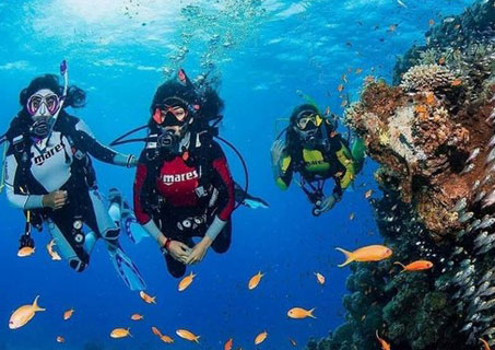 Scuba Diving